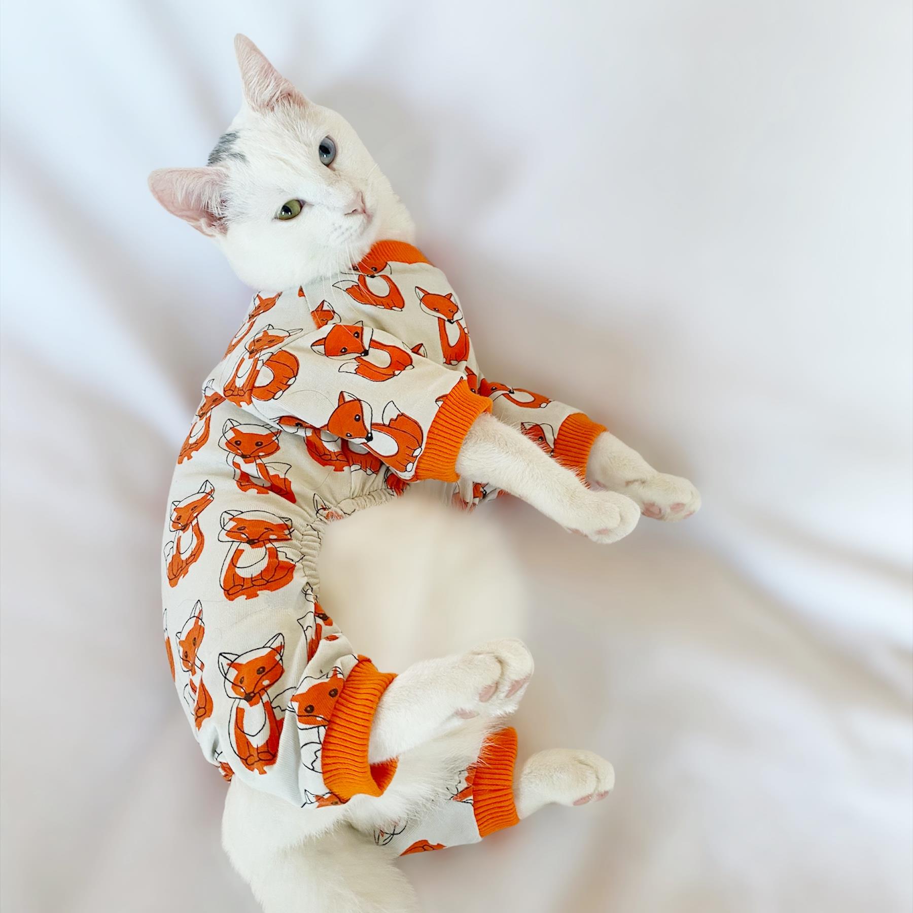 Foxy Penye Tulum Kedi Tulumu Kedi Elbisesi