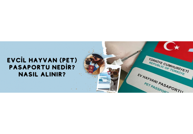 Evcil Hayvan (Pet) Pasaportu Nedir? Nasıl Alınır?