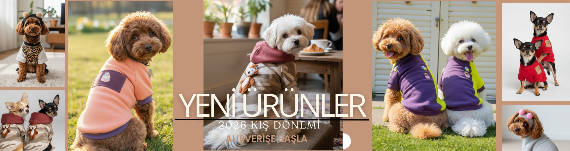 ufak ırk köpek kıyafeti