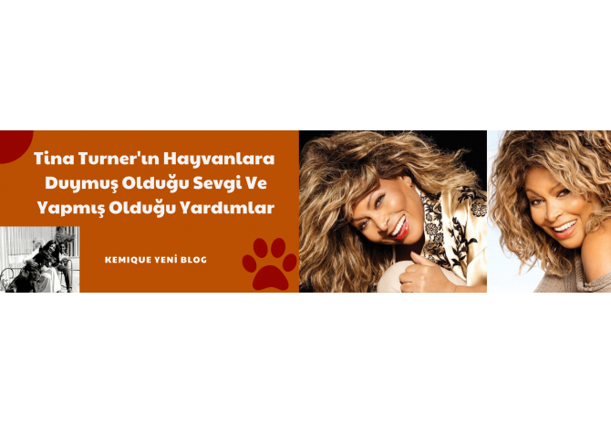 Tina Turner Hayvanlara Duyduğu Sevgi Ve Yapmış Olduğu Destekler