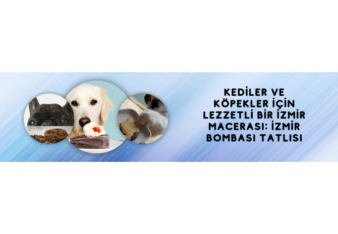 Kediler ve Köpekler İçin Lezzetli Bir İzmir Macerası: İzmir Bombası Tatlısı