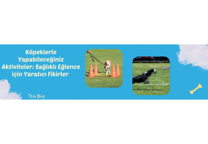 Köpeklerle Yapabileceğiniz Aktiviteler: Sağlıklı Eğlence için Yaratıcı Fikirler