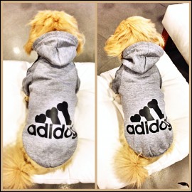 Adidog Köpek Sweatshirt Gri Ufak Irklar İçin
