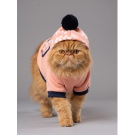 Peachy Pink Kedi Polar Sweatshirt – Sıcak Tutan Yumuşak Kedi Kıyafeti