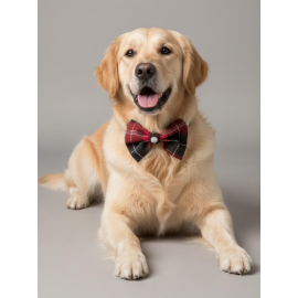 Aristokrat Büyük ve Orta Irk Köpek Papyonu | Ekose Desen Silver Taşlı Şık Aksesuar