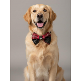 Aristokrat Büyük ve Orta Irk Köpek Papyonu | Ekose Desen Silver Taşlı Şık Aksesuar