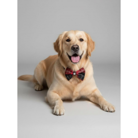 Aristokrat Büyük ve Orta Irk Köpek Papyonu | Ekose Desen Silver Taşlı Şık Aksesuar