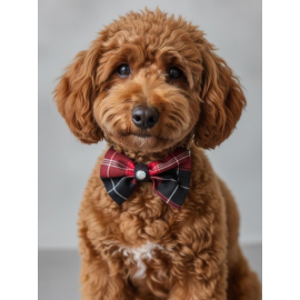 Aristokrat Ekose Silver Köpek Papyonu Tasma Yılbaşı 