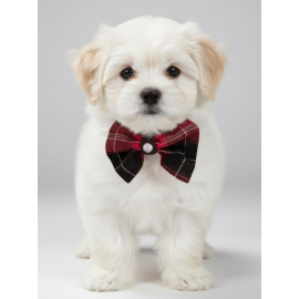 Aristokrat Ekose Silver Köpek Papyonu Tasma Yılbaşı 