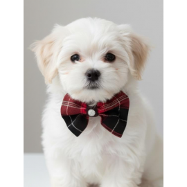 Aristokrat Ekose Silver Köpek Papyonu Tasma Yılbaşı 