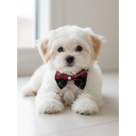 Aristokrat Ekose Silver Köpek Papyonu Tasma Yılbaşı 