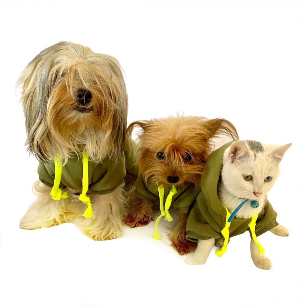 Athletique Green Camouflage Kapşonlu Sweat by Kemique Köpek Kazağı