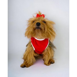 Berry Boo Atlet Köpek Kıyafeti  Köpek Elbisesi