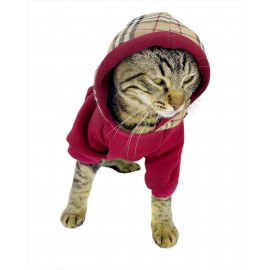 Bb Limited Bordo Duo Kapşonlu Kedi Sweatshirt