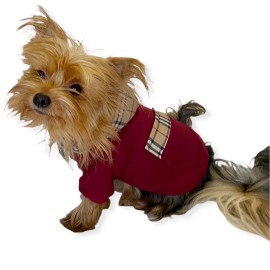 Bb Limited Bordo Kapşonlu Köpek Sweatshirt