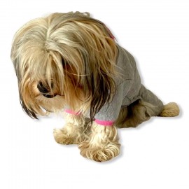 Bear Grey Pink Köpek Tulumu Köpek Kıyafeti