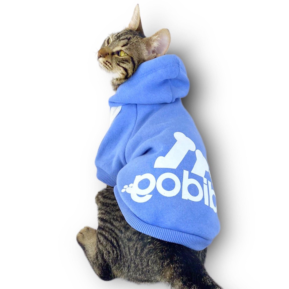 Bebek Mavisi Adidog Kapşonlu Kedi Sweatshirt Kedi Kazağı 