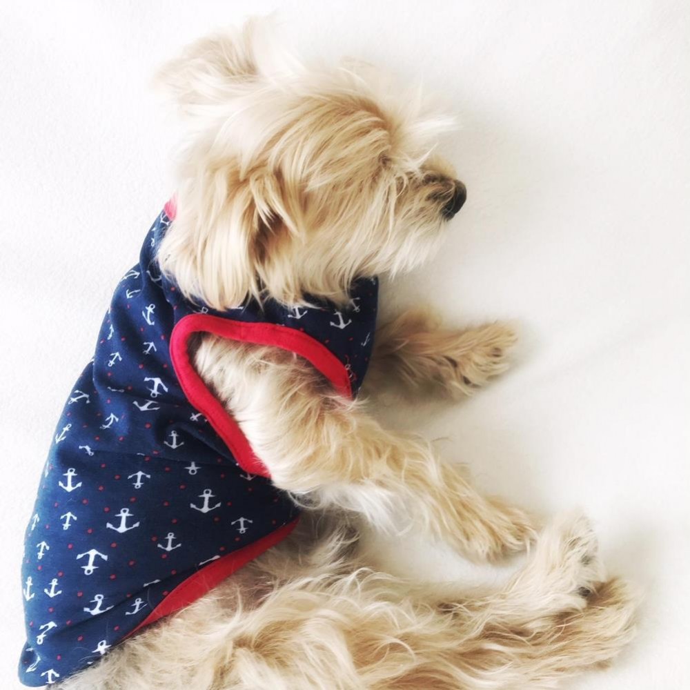 ÇAPA DENİZCİ ATLET by Kemique Köpek Kıyafeti Köpek Elbisesi