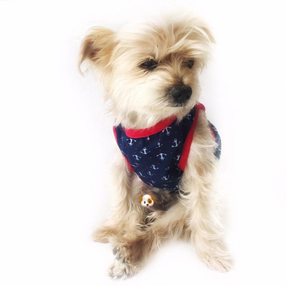 ÇAPA DENİZCİ ATLET by Kemique Köpek Kıyafeti Köpek Elbisesi