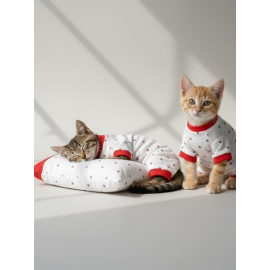 Berry Kedi Uyku Seti | Penye Kedi Tulum ve Mini Yastık Takımı | Pamuklu | Tüy Dökülmesini Azaltır | 