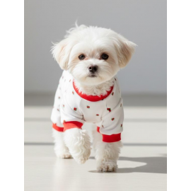 Berry Köpek Tulumu | Pamuklu Penye Köpek Pijaması | Küçük Irklar İçin | Tüy Dökülmesini Azaltır