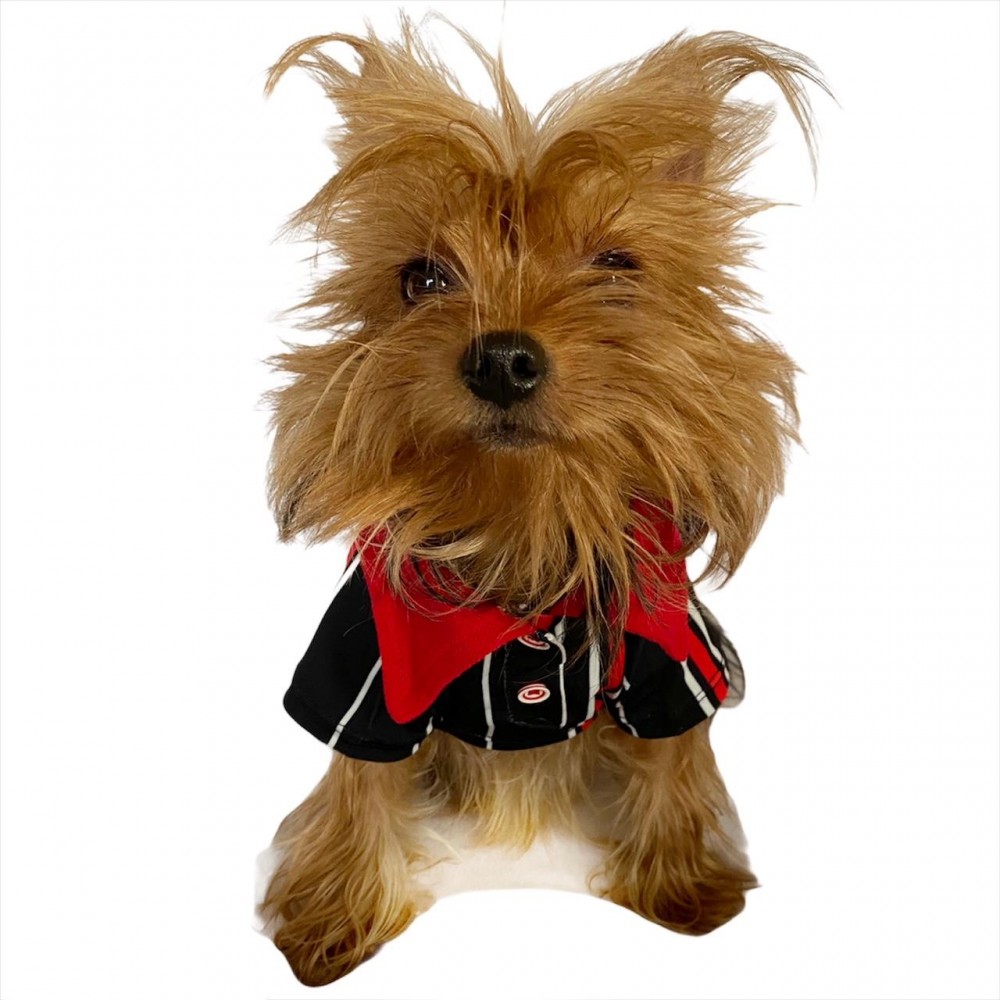 Black Red White Striped Polo Yaka Tişört Köpek Kıyafeti Köpek Elbisesi