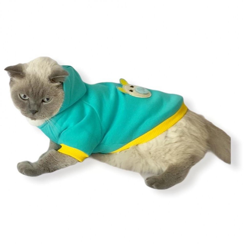 Blue Bear Kapşonlu Sweatshirt Kedi Süeteri Kedi Kıyafeti