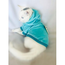 Blue Bear Sweatshirt Kedi Süeteri Kedi Kıyafeti 