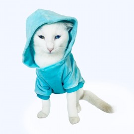 Blue Bear Sweatshirt Kedi Süeteri Kedi Kıyafeti 