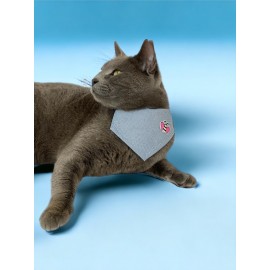 Butterfly Kedi Bandana, Fular, Kedi Kıyafeti Kedi Elbisesi, Kedi Tasması