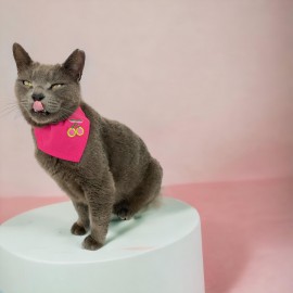 Cherry Kedi Bandana, Fular, Kedi Kıyafeti Kedi Elbisesi, Kedi Tasması