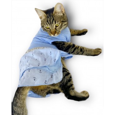 Blue Hersey Beck Kedi Elbisesi Kedi Kıyafeti