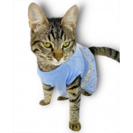 Blue Hersey Beck Kedi Elbisesi Kedi Kıyafeti 