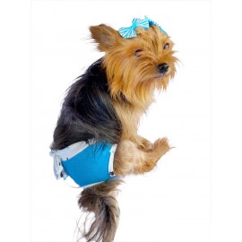 Bleu Palm Kemique's Secret Köpek İç Çamaşırı Regl Külot Don
