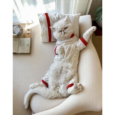 Sparkle Hearts Penye Tulum Yastık Takım Uyku Set Kedi Tulum Elbise