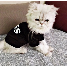 Boss Kedi Tişört 
