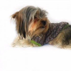 Brick Green Oval Yaka Tişört Köpek Kıyafeti Köpek Elbisesi
