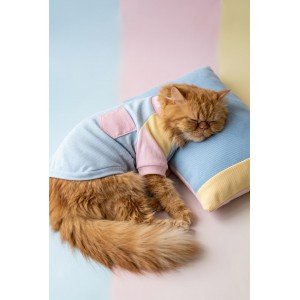 Bubbles Pastel Kedi Uyku Takımı | Mini Yastıklı Şeker Renkli Yazlık Kedi Pijama Seti