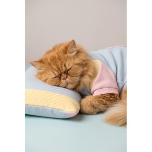 Bubbles Pastel Kedi Uyku Takımı | Mini Yastıklı Şeker Renkli Yazlık Kedi Pijama Seti