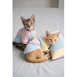 Bubbles Pastel Kedi Uyku Takımı | Mini Yastıklı Şeker Renkli Yazlık Kedi Pijama Seti