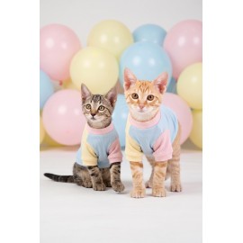 Bubbles Pastel Kedi Uyku Takımı | Mini Yastıklı Şeker Renkli Yazlık Kedi Pijama Seti