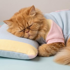 Bubbles Pastel Kedi Uyku Takımı | Mini Yastıklı Şeker Renkli Yazlık Kedi Pijama Seti