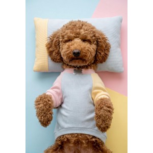 Bubbles Pastel Köpek Uyku Takımı | Mini Yastıklı Şeker Renkli Yazlık Köpek Pijama Seti | Küçük Irklar İçin