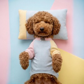 Bubbles Pastel Köpek Uyku Takımı | Mini Yastıklı Şeker Renkli Yazlık Köpek Pijama Seti | Küçük Irklar İçin