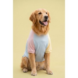 Bubbles Pastel  Orta ve Büyük Irk Köpek Tişörtü | Yazlık Köpek Kıyafeti