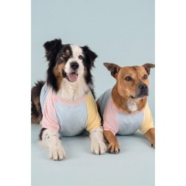 Bubbles Pastel  Orta ve Büyük Irk Köpek Tişörtü | Yazlık Köpek Kıyafeti