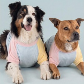 Bubbles Pastel  Orta ve Büyük Irk Köpek Tişörtü | Yazlık Köpek Kıyafeti