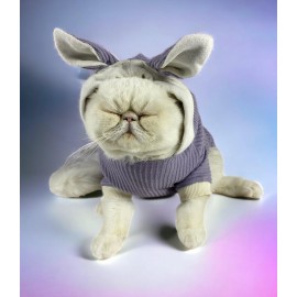 Bunny Boo Kulaklı Kedi Tulumu Kedi Kıyafeti
