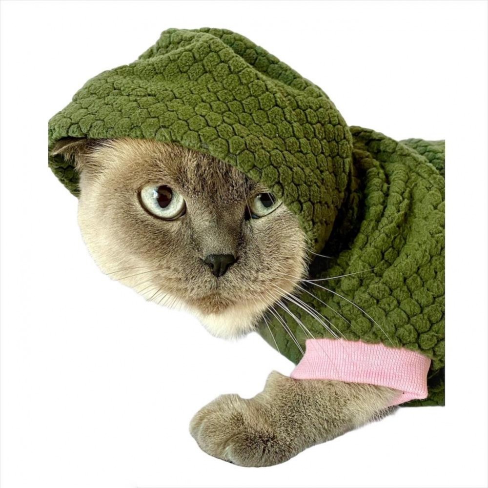 Bunny Pembe Dantelli Kapsonlu Sweatshirt Kedi Süeteri Kedi Kıyafeti
