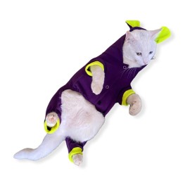 Bunny Pom Kulaklı Kedi Tulumu,Kıyafeti